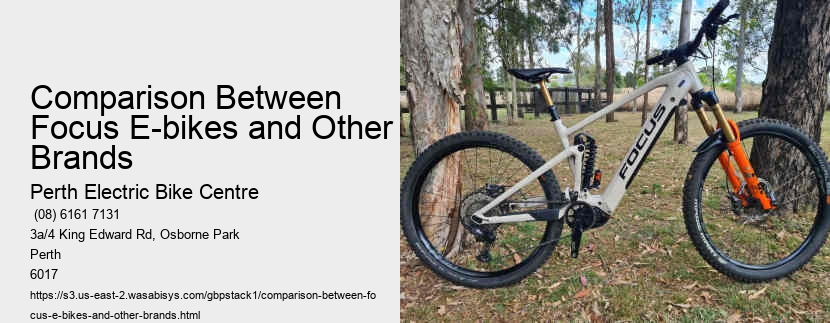 Comparison Between Focus E-bikes and Other Brands