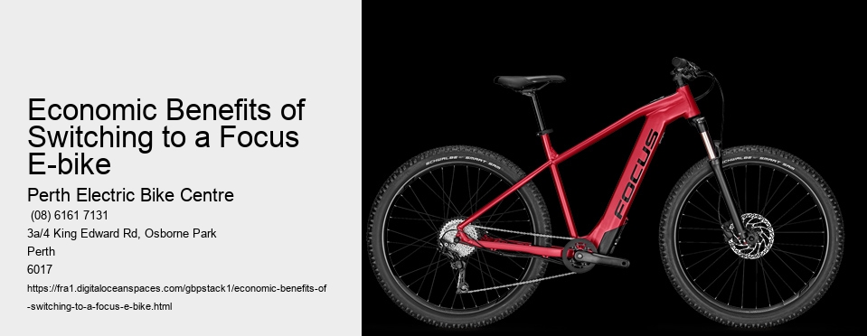 Economic Benefits of Switching to a Focus E-bike 