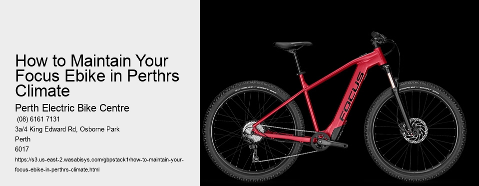 How to Maintain Your Focus Ebike in Perthrs Climate  