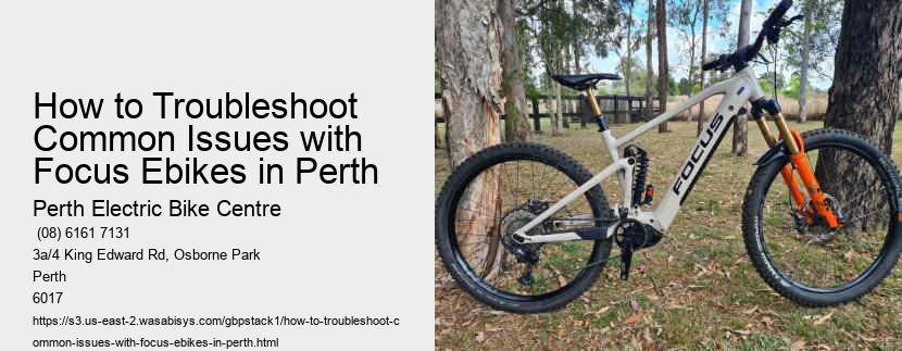 How to Troubleshoot Common Issues with Focus Ebikes in Perth