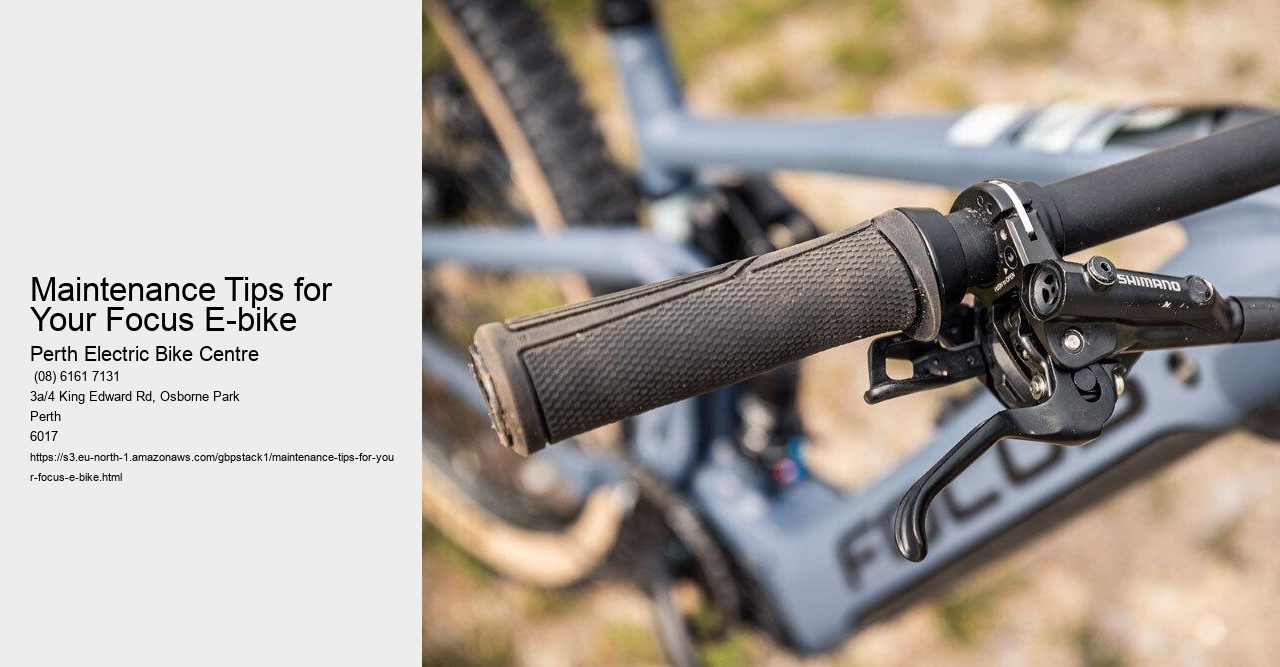 Maintenance Tips for Your Focus E-bike