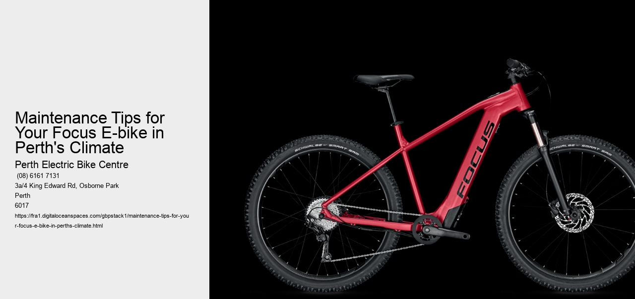 Maintenance Tips for Your Focus E-bike in Perth's Climate  