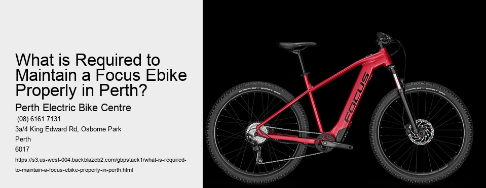 What is Required to Maintain a Focus Ebike Properly in Perth?
